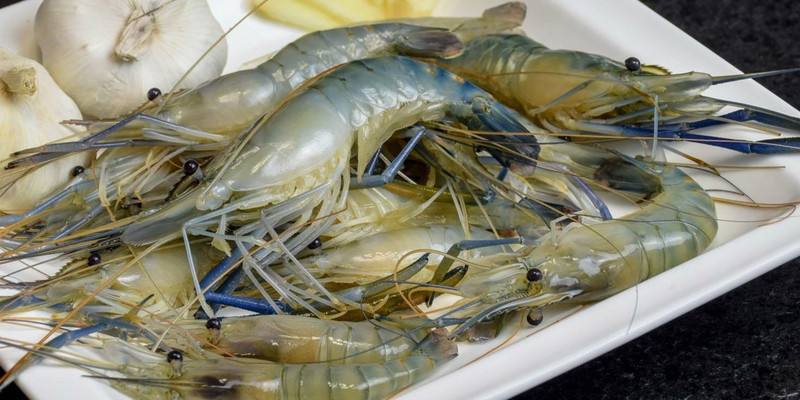 洪泽湖青虾 洪泽湖青虾