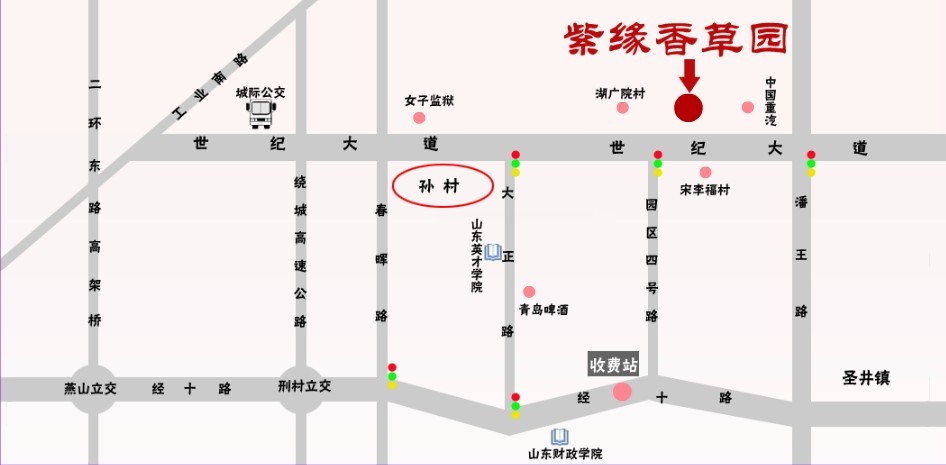 济南紫缘香草园 济南紫缘香草园