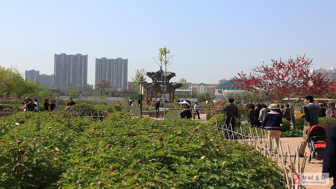 牡丹乡(山东省菏泽市牡丹区牡丹乡) 牡丹乡(山东省菏泽市牡丹区牡丹乡)