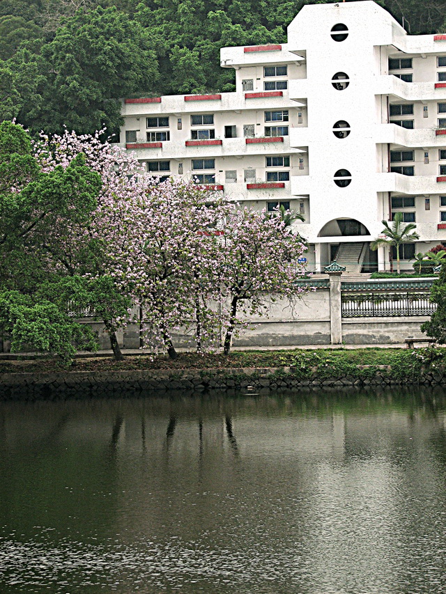 潮州市高级实验学校校园 潮州市高级实验学校校园