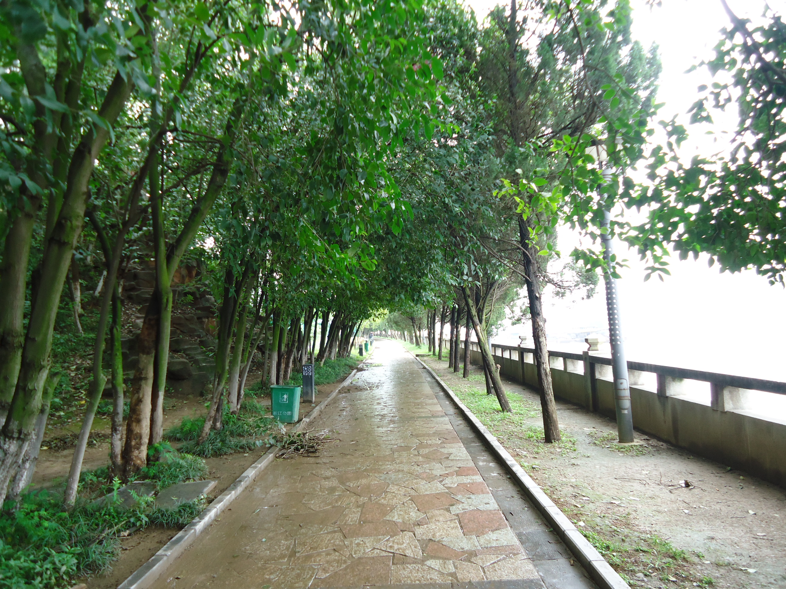 滨江公园 滨江公园