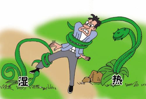 湿热症 湿热症