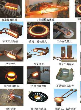 王力可