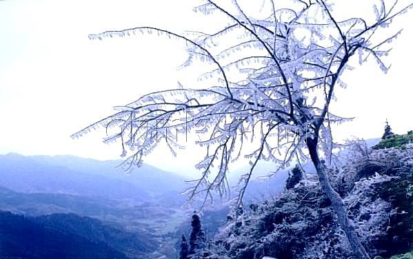 湖南雪峰山国家森林公园 湖南雪峰山国家森林公园