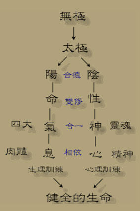 玄理论 玄理论