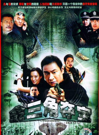 王佳宁