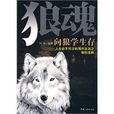 狼魂——向狼学生存 狼魂——向狼学生存