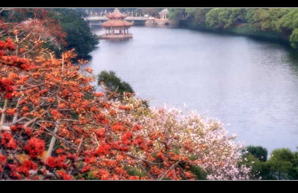 潮州西湖 潮州西湖