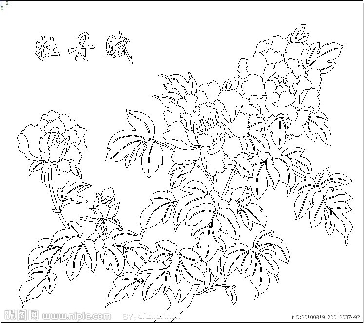 牡丹赋 牡丹赋