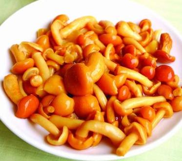 滑子菇 滑子菇