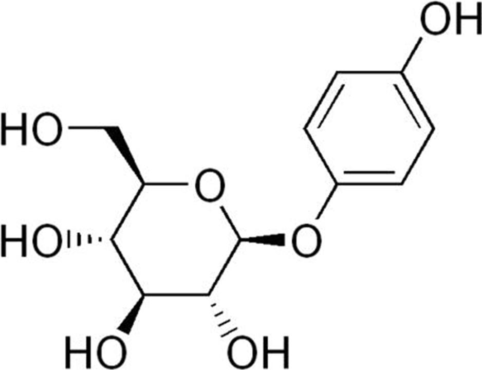熊果素 熊果素