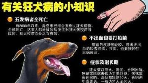 狂犬病潜伏期 狂犬病潜伏期