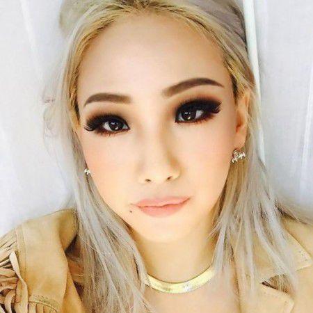 烟燻装 烟燻装
