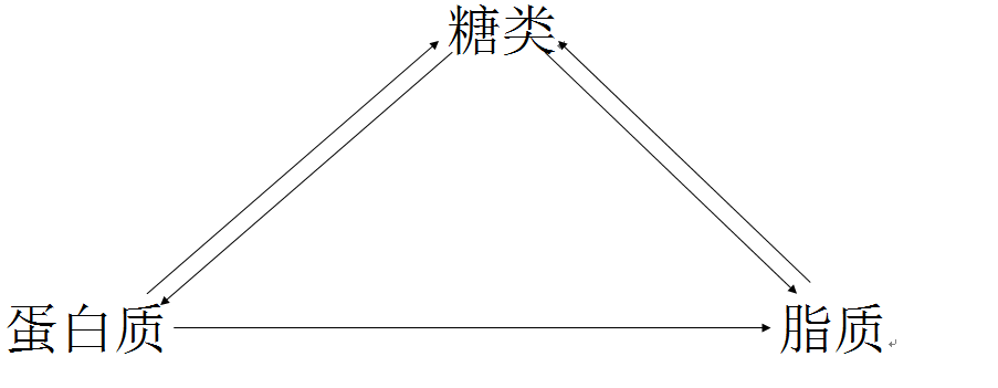 三大营养物质转化图示 三大营养物质转化图示
