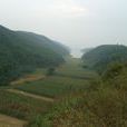 清水河村(山西省大同市左云县张家场乡下辖村) 清水河村(山西省大同市左云县张家场乡下辖村)