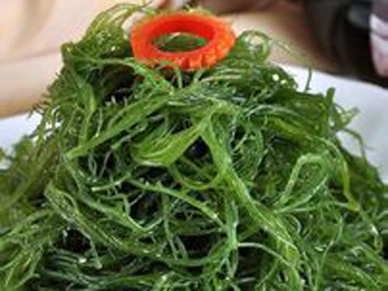 羊栖菜 羊栖菜