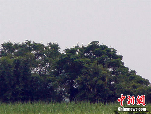 湿地公园站 湿地公园站