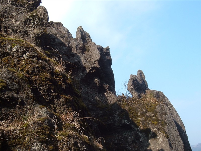 鹿角石南端 鹿角石南端