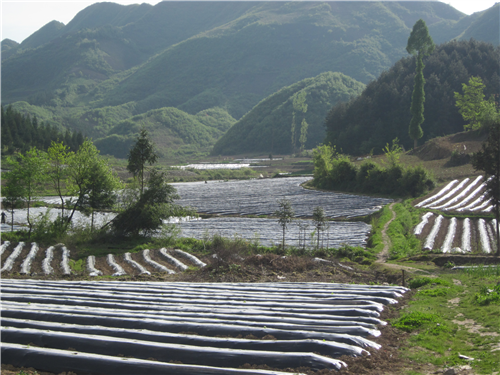 牡羊塘村 牡羊塘村