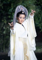 浣花洗剑录(2007年谢霆锋，乔振宇主演电视剧)