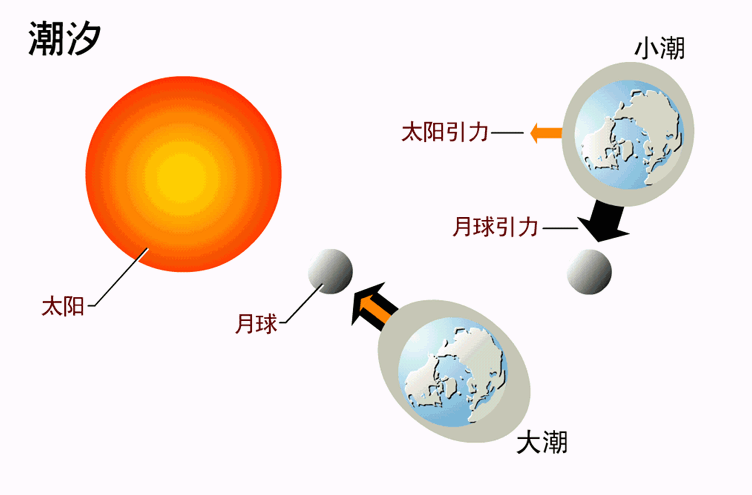 潮汐影响示意图 潮汐影响示意图