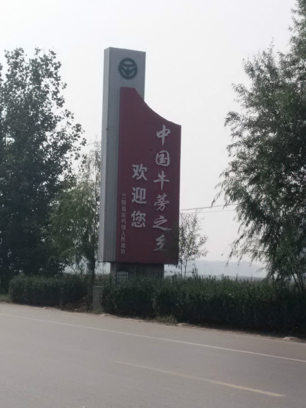 牛蒡茶 牛蒡茶