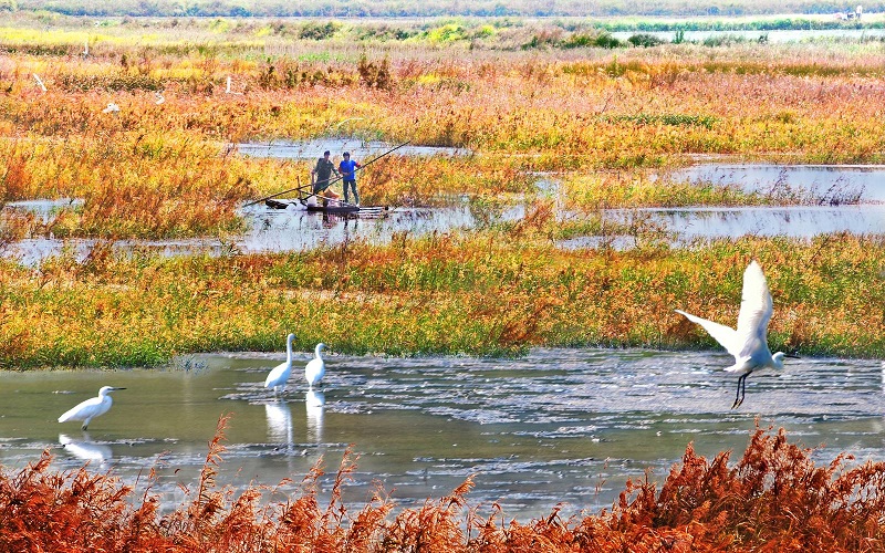 漩门湾湿地公园