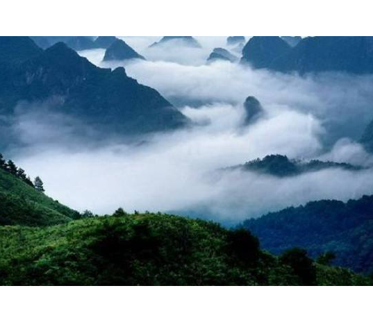 海南坝王岭国家级自然保护区 海南坝王岭国家级自然保护区