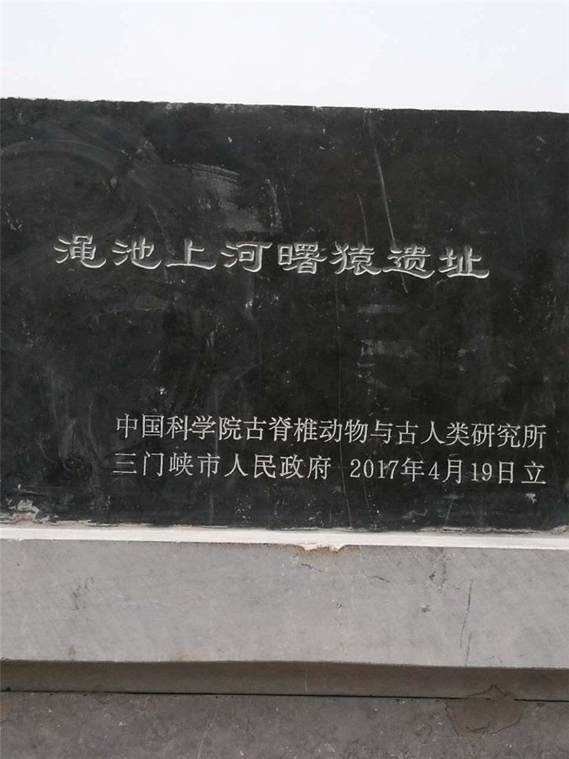 渑池上河曙猿遗址 渑池上河曙猿遗址