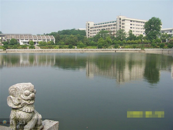 校园一角 校园一角