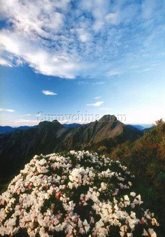 玉山国家公园 玉山国家公园