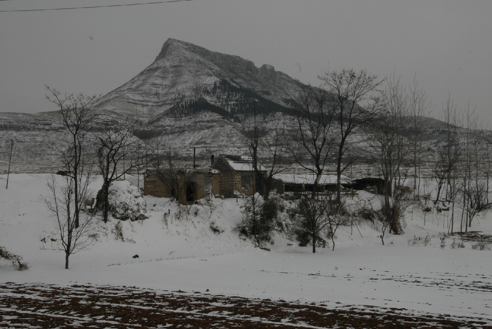 邹鲁最高峰:凤凰山 邹鲁最高峰:凤凰山