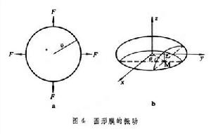 物体的振动 物体的振动
