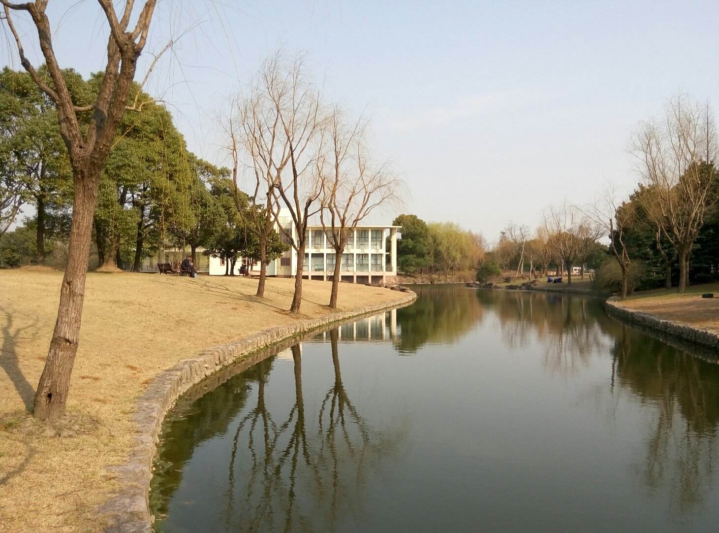 浦东高桥滨江森林公园 浦东高桥滨江森林公园