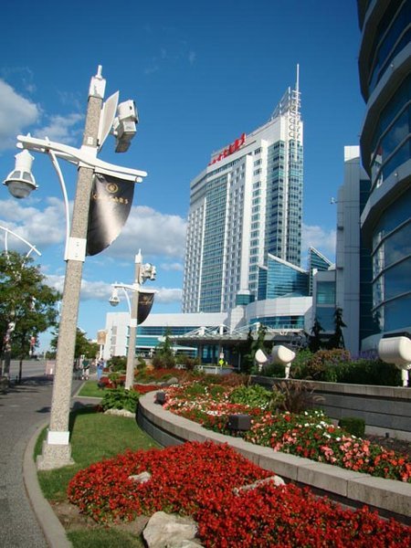温莎市 温莎市