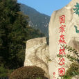 湖南莽山国家森林公园 湖南莽山国家森林公园