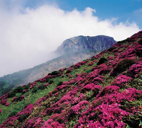 汉拿山 汉拿山