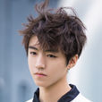 王俊凯(TFBOYS队长) 王俊凯(TFBOYS队长)