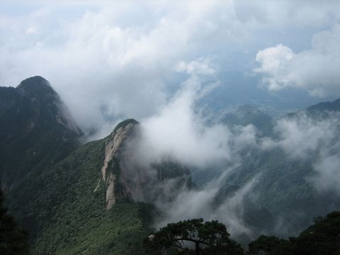 牯牛降 雾 牯牛降 雾
