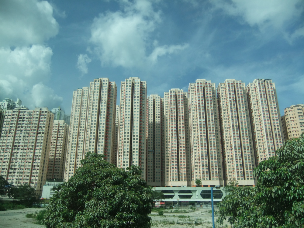 淘大花园 淘大花园