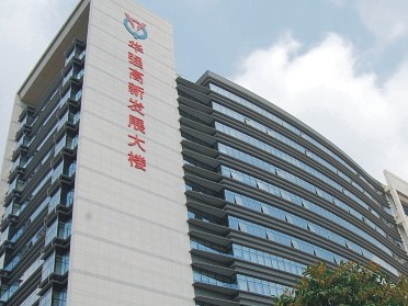 深圳华强文化科技集团股份有限公司 深圳华强文化科技集团股份有限公司
