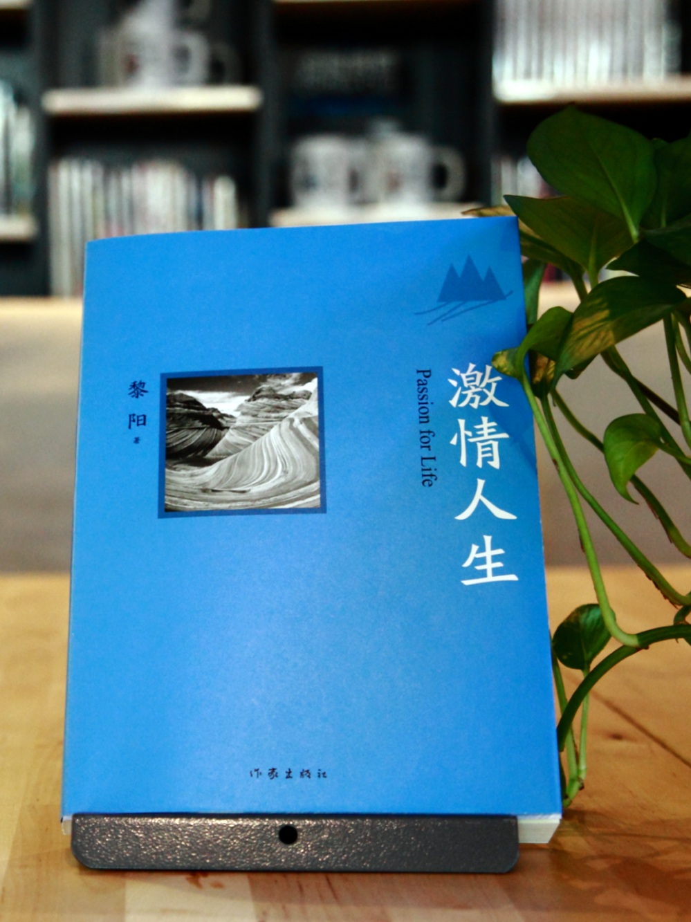 黎阳《激情人生》 黎阳《激情人生》