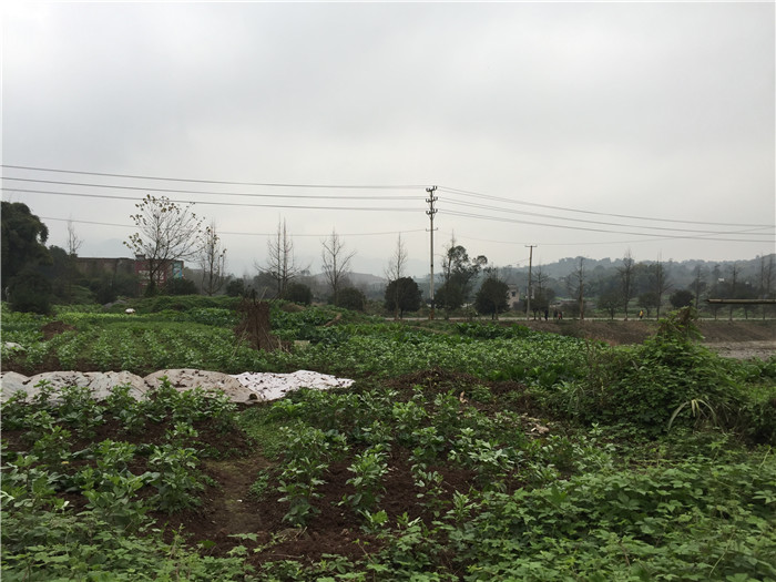 清河村(辽宁省盘锦市大洼区清水镇清河村) 清河村(辽宁省盘锦市大洼区清水镇清河村)