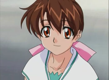 樟叶枫子