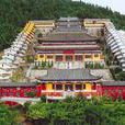 无量寿禅寺 无量寿禅寺