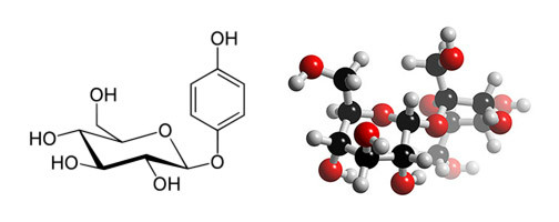 a-Arbutin a-Arbutin