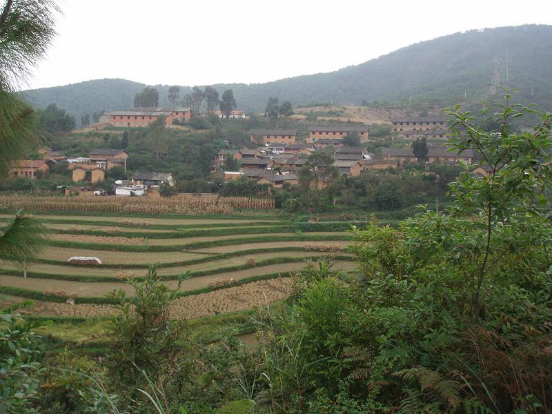 清水沟村(玉溪华宁县青龙镇下辖村) 清水沟村(玉溪华宁县青龙镇下辖村)