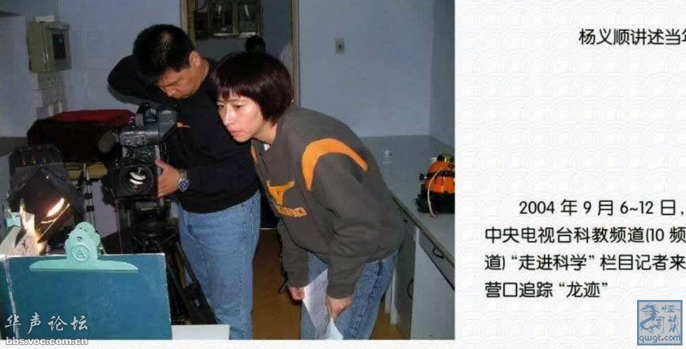 营川坠龙事件 营川坠龙事件