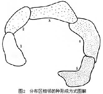 物种形成 物种形成