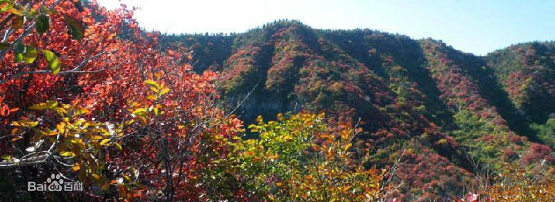 仰天山 仰天山